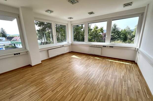 Gewerbeobjekt mieten in 8045 Graz (Bild 1)