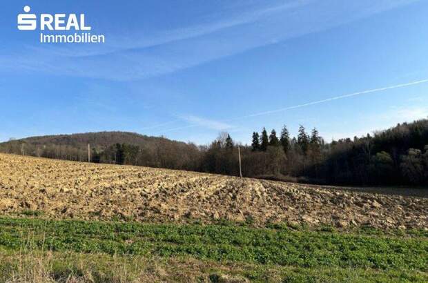 Grundstück kaufen in 8044 Graz (Bild 1)