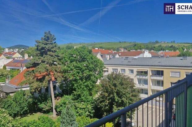 Terrassenwohnung kaufen in 1190 Wien (Bild 1)