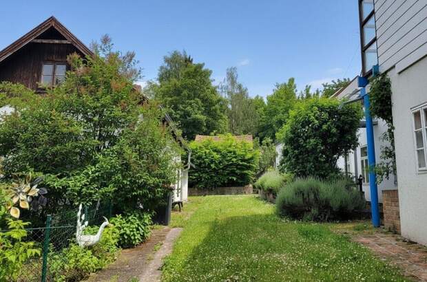 Haus kaufen in 2123 Traunfeld (Bild 4)