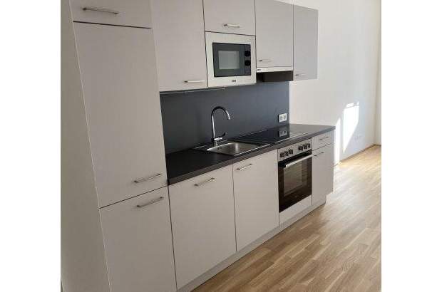 Terrassenwohnung mieten in 1220 Wien (Bild 2)