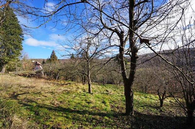 Grundstück kaufen in 3001 Mauerbach (Bild 2)