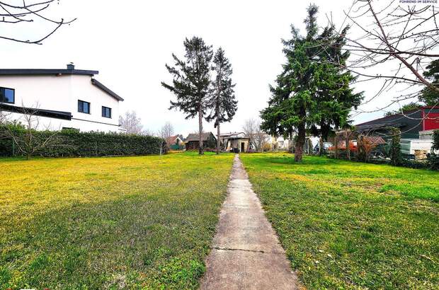 Grundstück kaufen in 2283 Obersiebenbrunn (Bild 3)