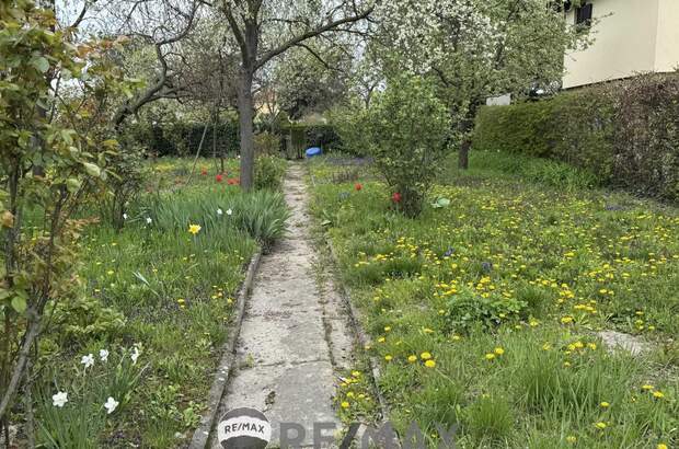 Grundstück kaufen in 2100 Korneuburg (Bild 4)