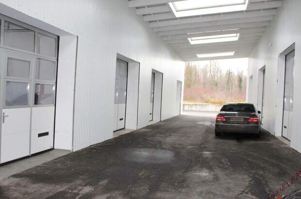 Immobilie mieten in 2401 Fischamend (Bild 5)