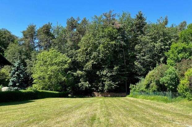 Grundstück kaufen in 8076 Vasoldsberg (Bild 3)