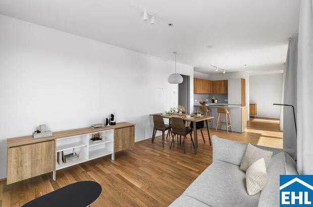 Terrassenwohnung mieten in 1200 Wien (Bild 1)