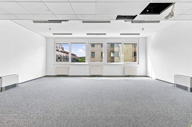 Gewerbeobjekt mieten in 1110 Wien (Bild 2)
