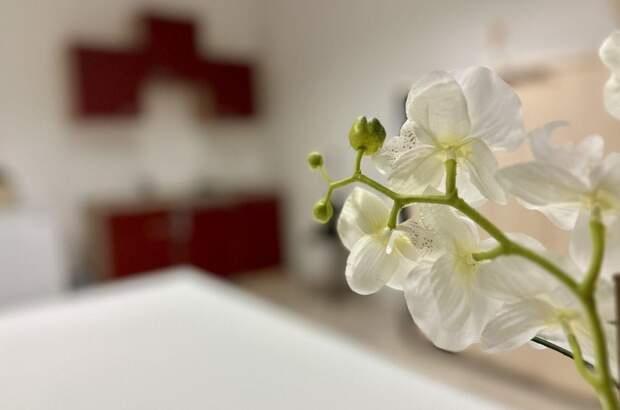 Gewerbeobjekt mieten in 8724 Spielberg (Bild 5)