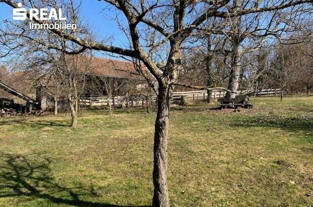 Haus kaufen in 7431 Bad Tatzmannsdorf (Bild 2)