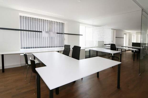 Gewerbeobjekt mieten in 4600 Thalheim (Bild 4)