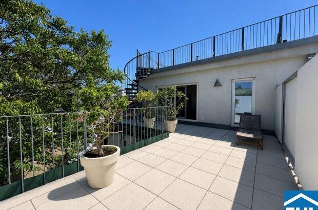 Terrassenwohnung mieten in 1020 Wien (Bild 1)