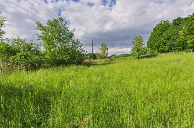 Grundstück kaufen in 8230 Eggendorf (Bild 3)