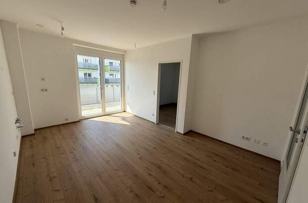Terrassenwohnung kaufen in 2442 Unterwaltersdorf (Bild 4)