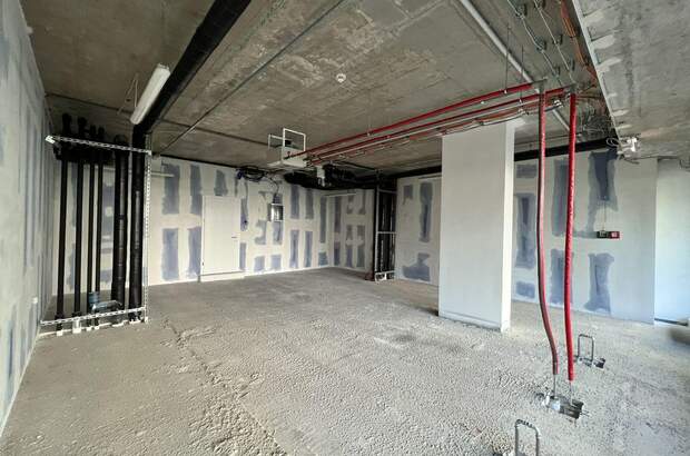 Gewerbeobjekt mieten in 1220 Wien (Bild 4)