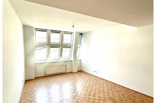 Terrassenwohnung mieten in 1100 Wien (Bild 2)