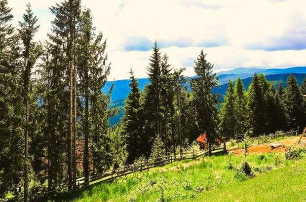 Grundstück kaufen in 8742 Obdach (Bild 1)