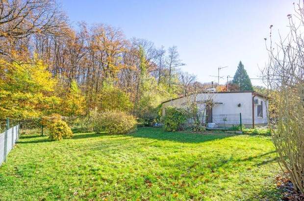 Grundstück kaufen in 2384 Breitenfurt (Bild 3)