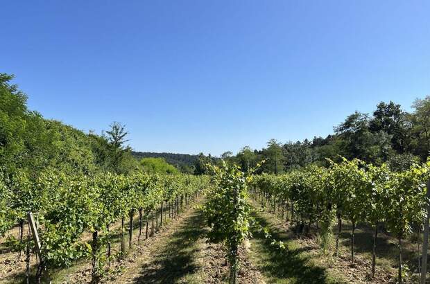 Gewerbeobjekt kaufen in 3483 Feuersbrunn (Bild 2)