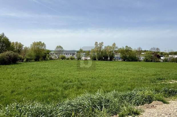 Grundstück kaufen in 7032 Sigleß (Bild 1)