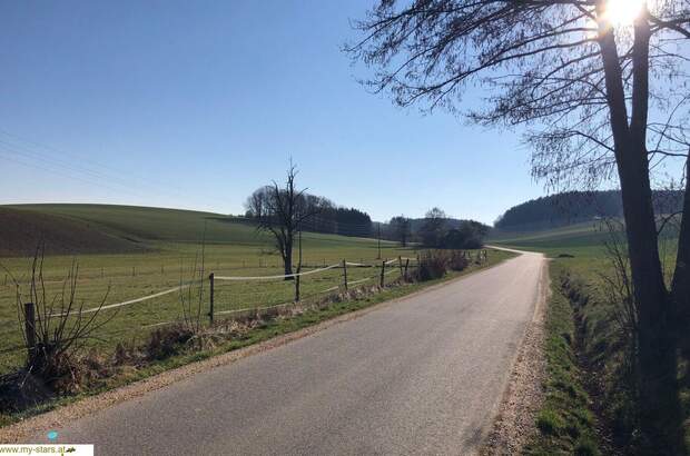 Gewerbeobjekt kaufen in 4941 Mehrnbach (Bild 3)