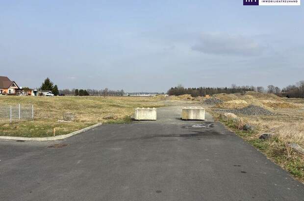 Grundstück kaufen in 8472 Vogau (Bild 3)