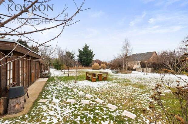 Einfamilienhaus kaufen in 2440 Gramatneusiedl (Bild 5)