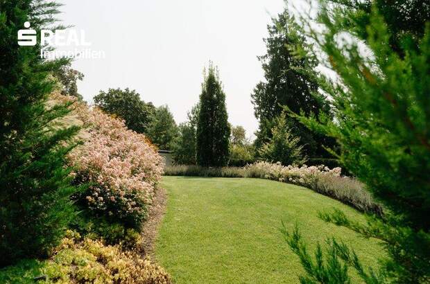 Chalet kaufen in 2500 Baden (Bild 5)