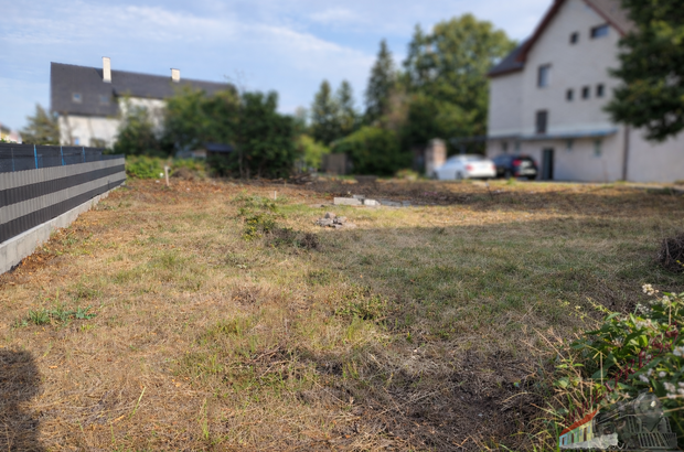 Grundstück kaufen in 2752 Wöllersdorf (Bild 2)