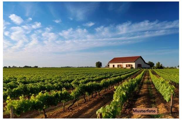 Wohnanlage kaufen in 7122 Gols (Bild 1)