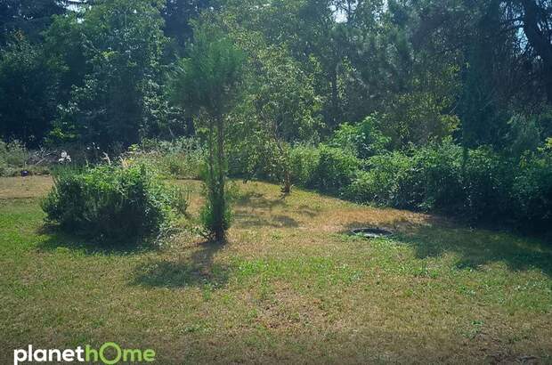 Grundstück kaufen in 2410 Hainburg (Bild 1)