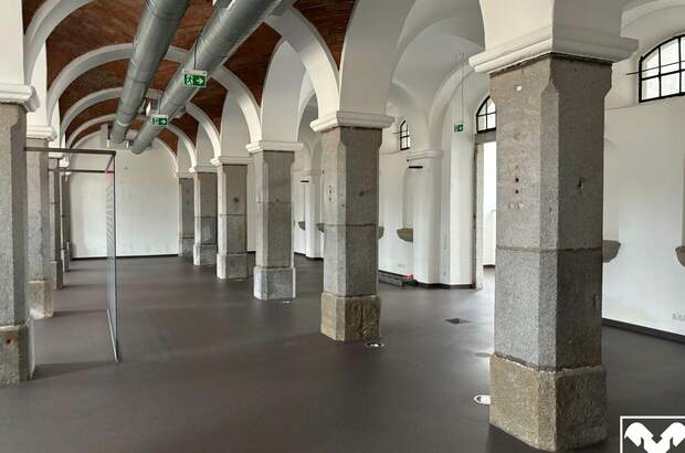 Gewerbeobjekt mieten in 4470 Enns (Bild 2)