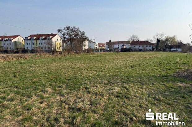 Grundstück kaufen in 4070 Pupping (Bild 2)