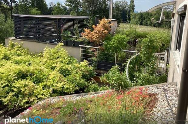 Einfamilienhaus kaufen in 2751 Steinabrückl (Bild 2)