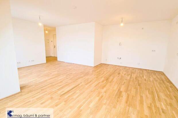 Terrassenwohnung kaufen in 1220 Wien (Bild 3)