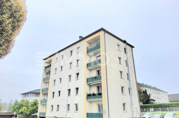 Terrassenwohnung kaufen in 4501 Neuhofen (Bild 4)