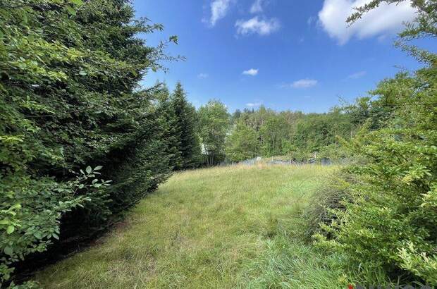 Grundstück kaufen in 3032 Eichgraben (Bild 1)