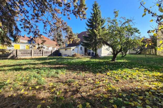 Haus kaufen in 1220 Wien (Bild 4)