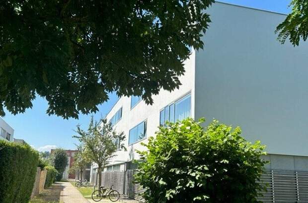 Mietwohnung in 4600 Wels (Bild 1)