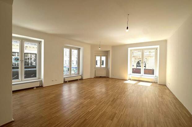 Gewerbeobjekt mieten in 1010 Wien (Bild 4)