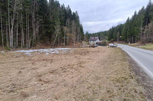 Grundstück kaufen in 4574 Vorderstoder (Bild 2)