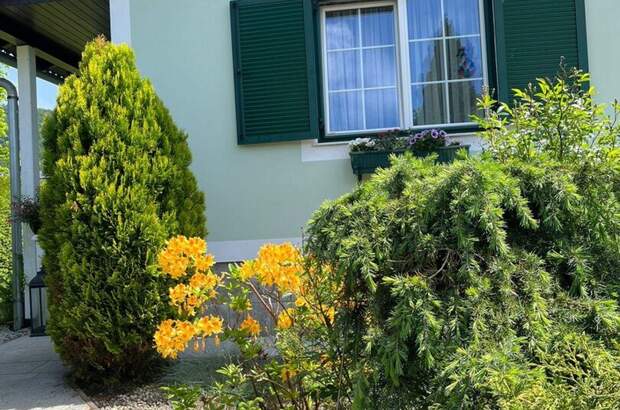 Haus mit Garten kaufen in 8051 Thal (Bild 5)