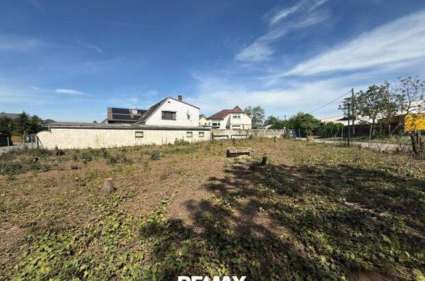 Grundstück kaufen in 2201 Hagenbrunn (Bild 1)