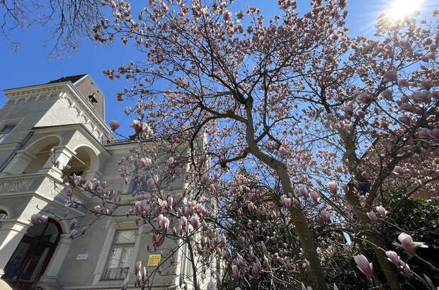 Gewerbeobjekt mieten in 6020 Innsbruck (Bild 5)