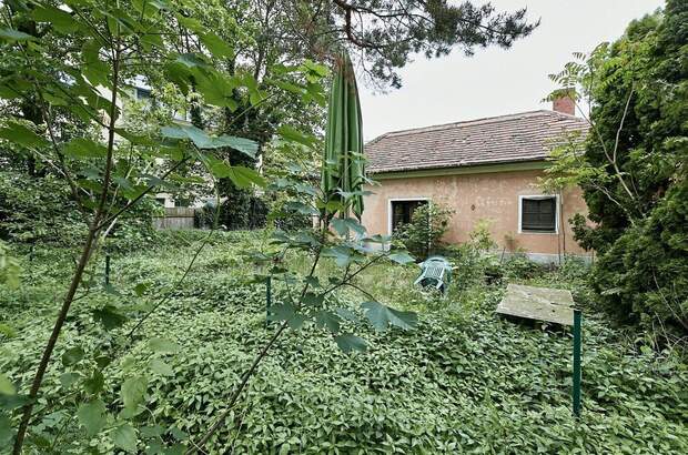 Grundstück kaufen in 1210 Wien (Bild 1)