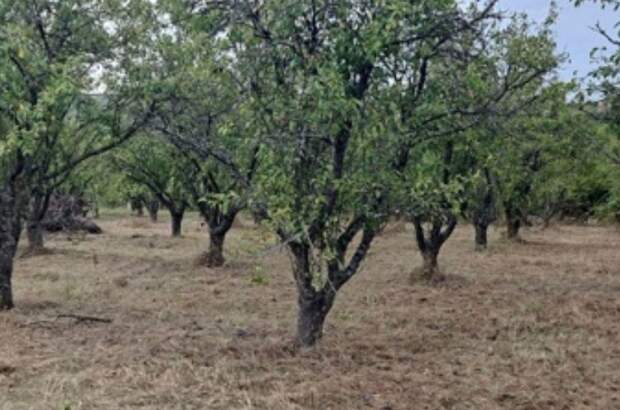 Grundstück kaufen (Bild 1)