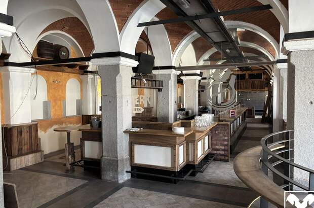 Gewerbeobjekt mieten in 4470 Enns (Bild 1)