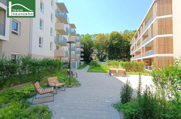 Terrassenwohnung mieten in 3100 St. Pölten (Bild 1)