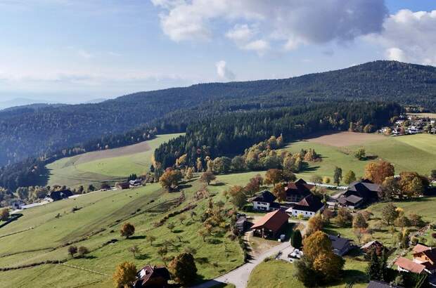 Haus kaufen in 9300 Frauenstein (Bild 3)