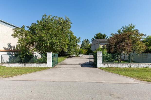 Anlageobjekt kaufen in 2472 Prellenkirchen (Bild 4)